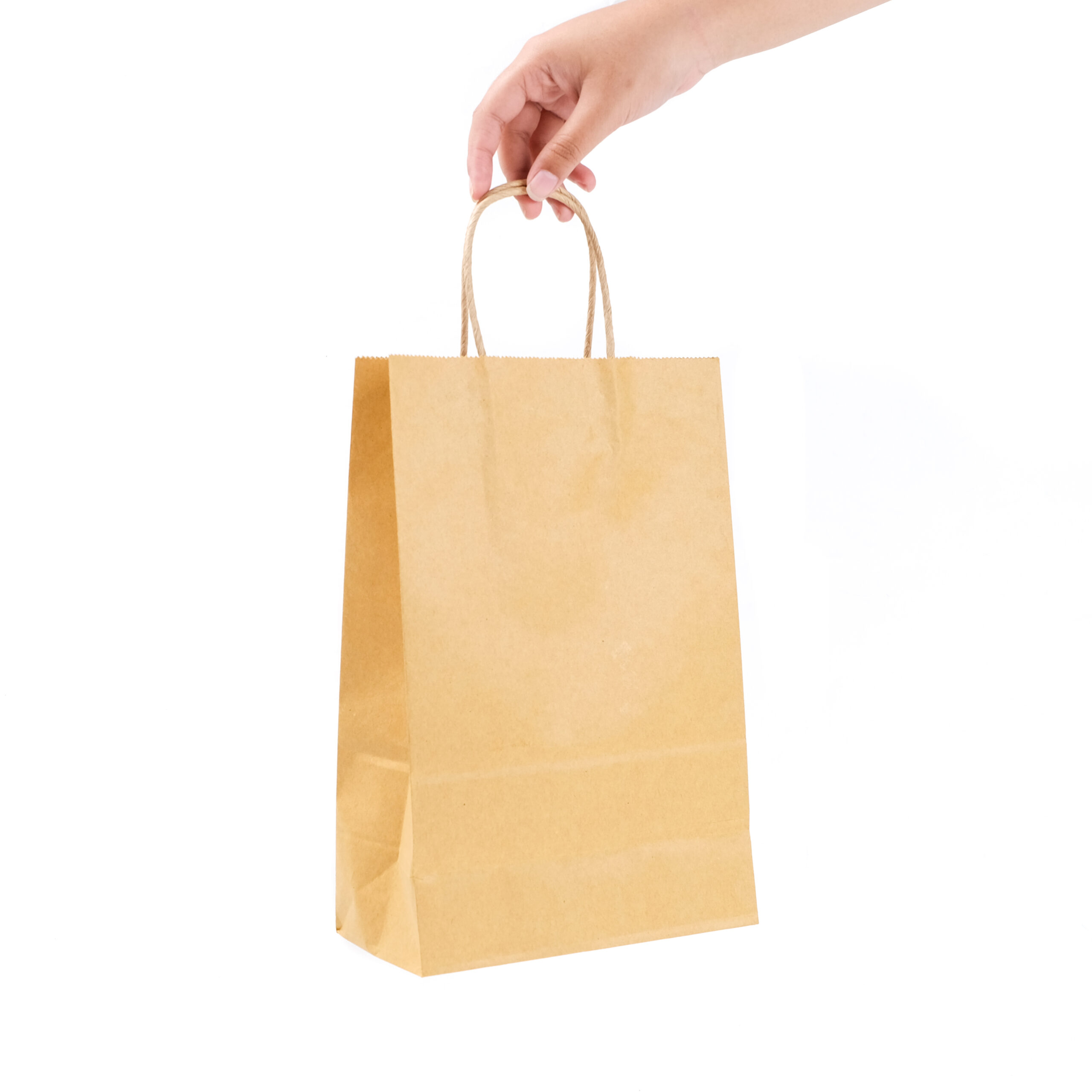 Paper bag Aldo Pack