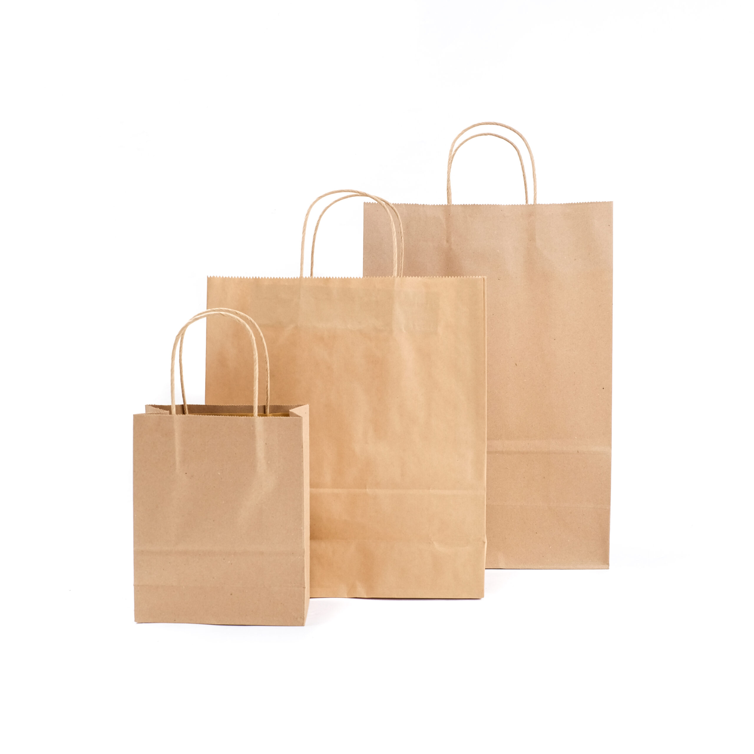 Paper bag Aldo Pack