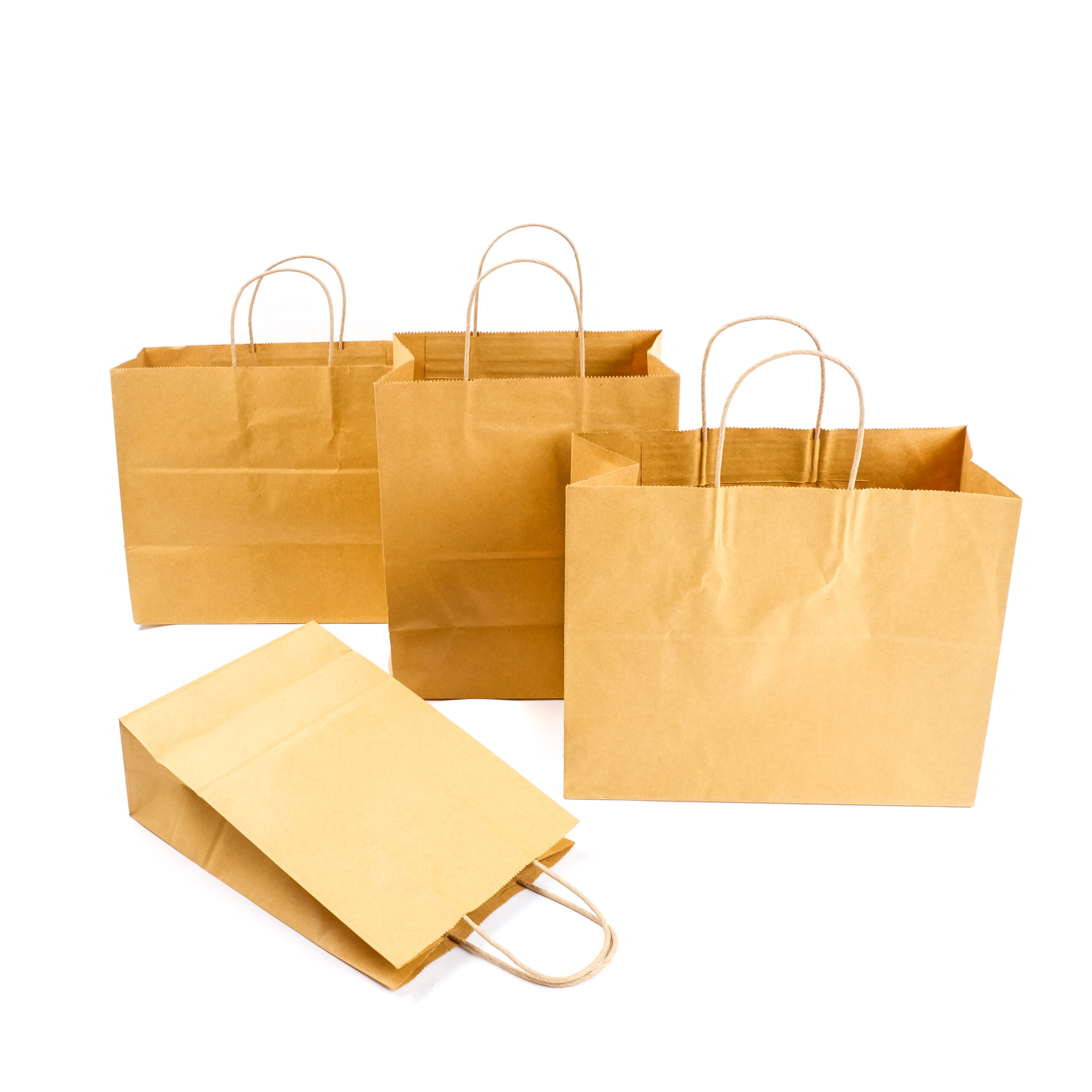 Paper bag Aldo Pack